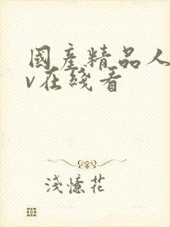 国产精品人妻av在线看