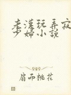 老汉玩弄寂寞的少妇小说