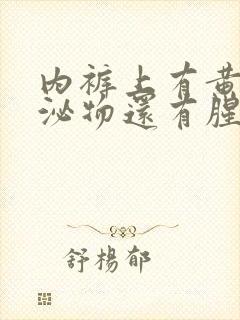 内裤上有黄色分泌物还有腥臭味道重怎么办