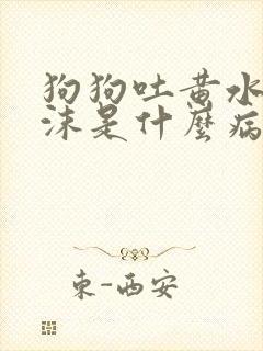 狗狗吐黄水带泡沫是什么病