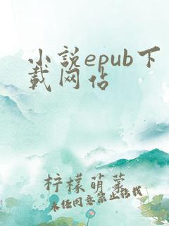 小说epub下载网站