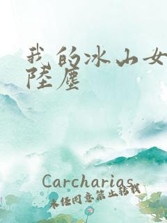 我的冰山女总裁陆尘