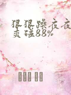 狠狠躁夜夜躁人爽碰88%