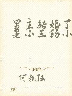 男主结婚了女主是小三的小说