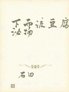 下面流豆腐渣分泌物