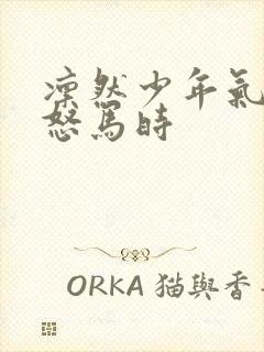 凛然少年气鲜衣怒马时