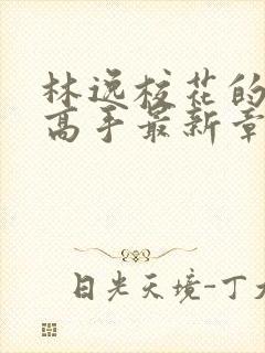 林逸校花的贴身高手最新章节笔趣阁