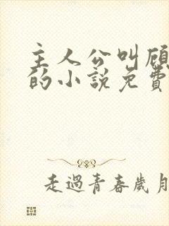 主人公叫顾北弦的小说免费阅读