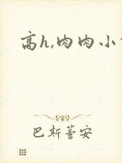 高h,肉肉小说
