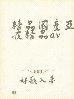 精品国产亚洲午夜精品av
