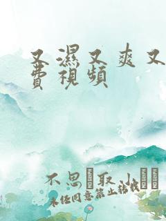 又湿又爽又黄免费视频