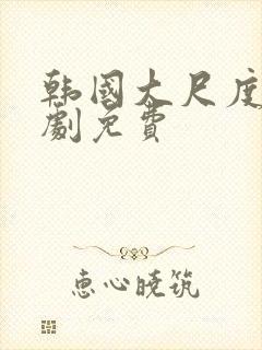 韩国大尺度电视剧免费