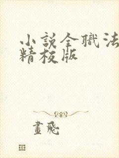 小说全职法师乱精校版