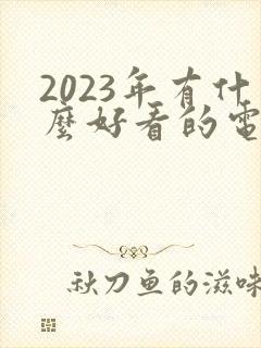 2023年有什么好看的电视剧