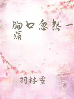 胸口忽然一阵刺痛