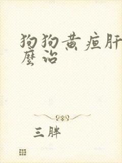 狗狗黄疸肝炎怎么治