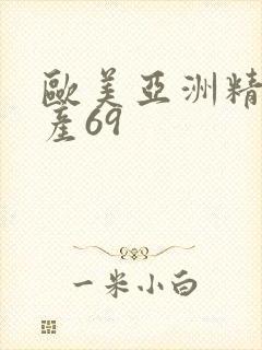 欧美亚洲精品国产69