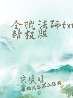 全职法师txt精校版