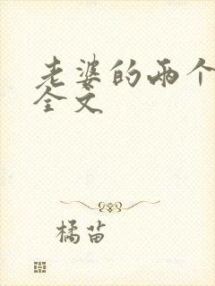 老婆的两个表妹全文