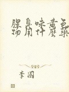 腥臭味黄色分泌物用什么药