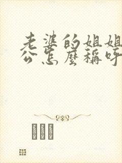 老婆的姐姐的老公怎么称呼