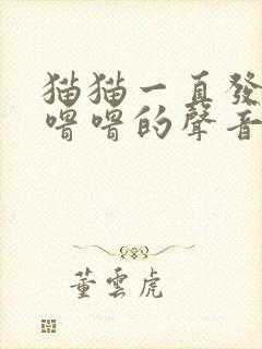 猫猫一直发出呼噜噜的声音