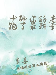 少帅你的老婆又跑了最新章节免费阅读