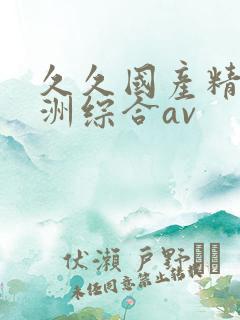 久久国产精品亚洲综合av