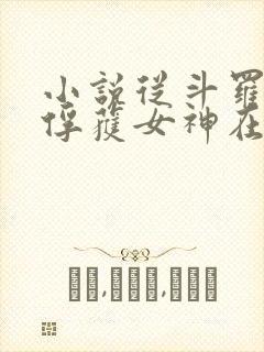 小说从斗罗开始俘获女神在线阅读全文