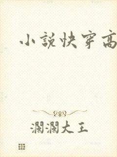 小说快穿高h