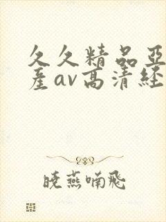 久久精品亚洲国产av高清经典