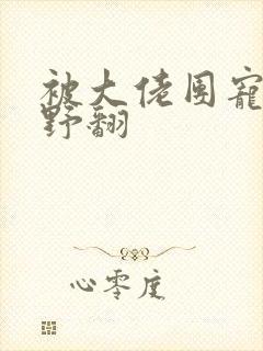 被大佬团宠后我野翻