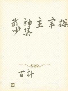 武神主宰总共多少集