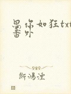 思你如狂txt番外