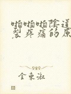 啪啪啪阴道口撕裂疼痛的原因