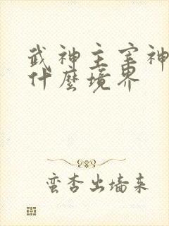 武神主宰神帝是什么境界