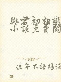 与君初相识原著小说免费阅读