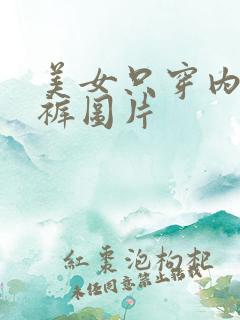 美女只穿内衣内裤图片