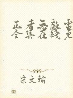 正者无敌电视剧全集在线免费观看