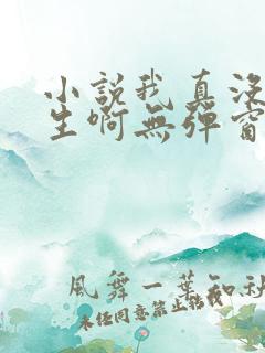 小说我真没想重生啊无弹窗