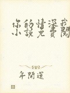 你的情深我不配小说免费阅读全文