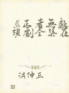 《正者无敌》电视剧全集在线观看