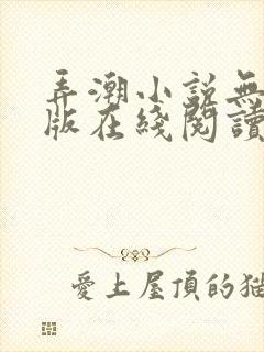 弄潮小说无删减版在线阅读