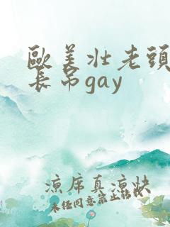 欧美壮老头的大长吊gay