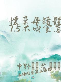 怀孕母猪体温37.5不吃食怎么治疗