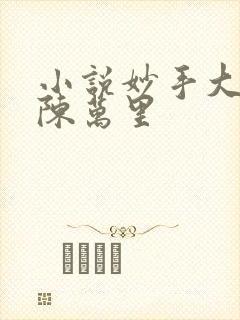 小说妙手大仙医陈万里