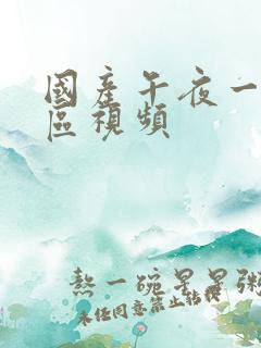 国产午夜一区二区视频