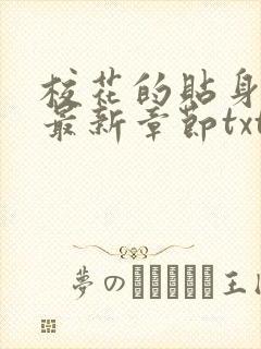 校花的贴身高手最新章节txt