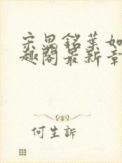 宋思铭叶如云笔趣阁最新章节