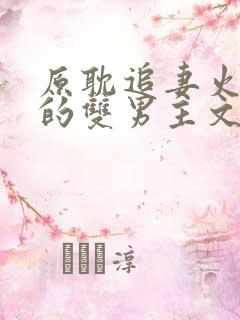 原耽追妻火葬场的双男主文推荐